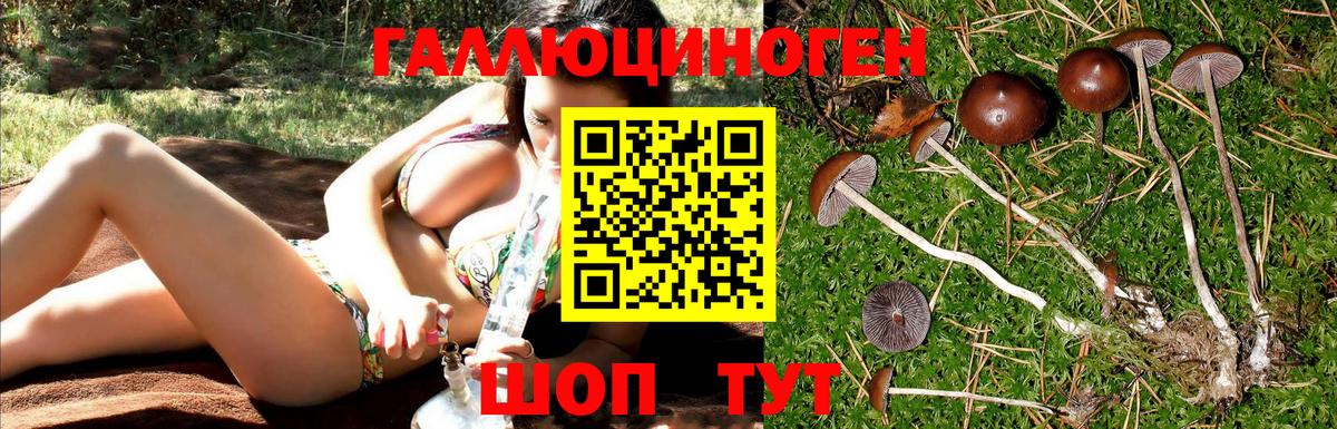 ГАШИШ  Саки  ГАШ  COCAIN  Вход с VPN  Как найти наркотики?  Каннабис  МЕФ  